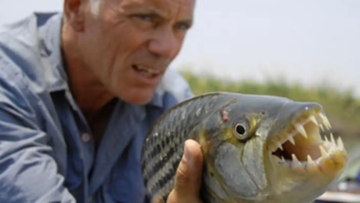 River Monsters E06 Les meilleurs moments (n°6) : Le plus mortel des silures