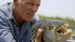 Visuel de River Monsters