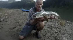 River Monsters Le retour du poisson-chat tueur