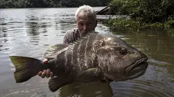 River Monsters La terreur des îles volcaniques