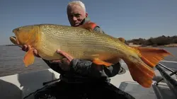 River Monsters Le fleuve de sang