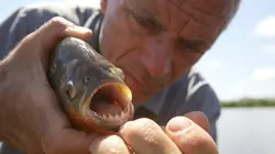 River Monsters L'escrimeur colombien