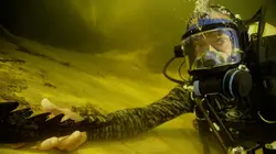 River Monsters