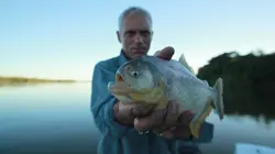 River Monsters