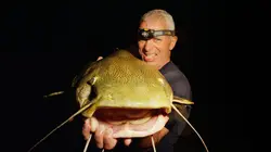 River Monsters