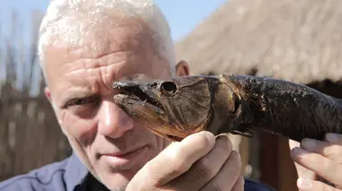 River Monsters Carnage en Afrique