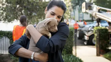 Rizzoli & Isles S04E09 Les démons du passé