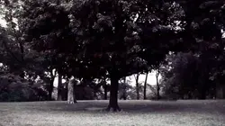 Robert Chambers, meurtre à Central Park Blame the Victim