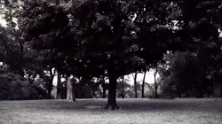 Robert Chambers, meurtre à Central Park Woman Down in Central Park