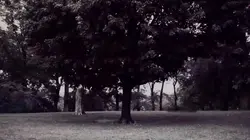 Visuel de Robert Chambers, meurtre à Central Park