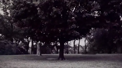 Robert Chambers, meurtre à Central Park The Trial of the Decade