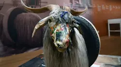 Robert Rauschenberg : Précurseur du pop art