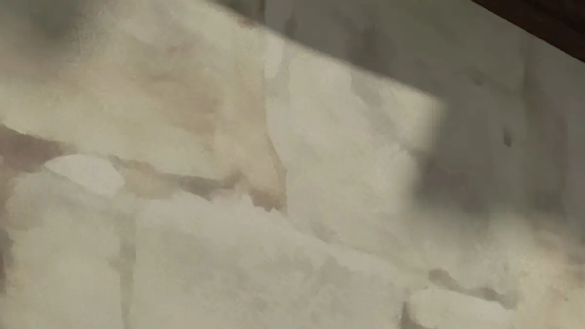 Robin des Bois, malice à Sherwood S03E23 Roi ou reine