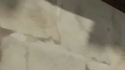 Robin des Bois, malice à Sherwood