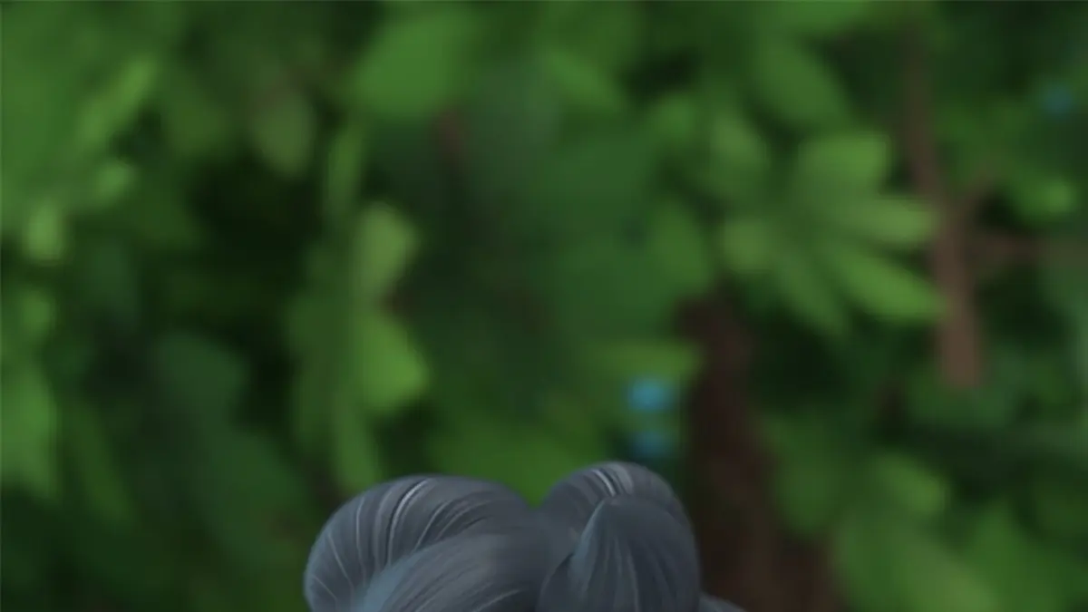 Robin des Bois, malice à Sherwood S03E18 Le remède