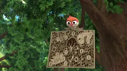 Robin des Bois, malice à Sherwood