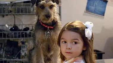 Robodog se déchaîne !