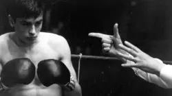 Rocco et ses frères