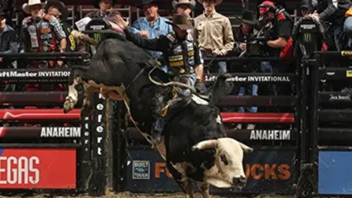 World Finals Rodéo Pro Bull Riding 2016