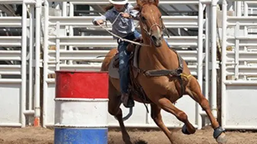 World Finals Rodéo Pro Bull Riding 2017