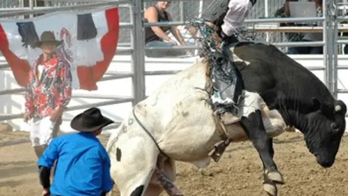 World Finals Rodéo Pro Bull Riding 2014