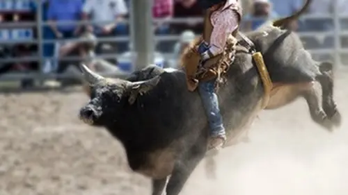 World Finals Rodéo Pro Bull Riding 2018