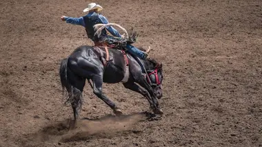 Rodéo Championnat du monde 2021