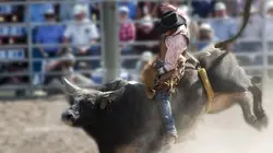 Rodéo : Pro Bull Riding