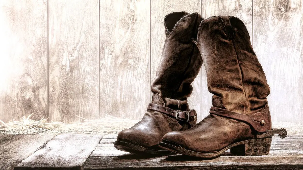 Rodéo : Pro Bull Riding