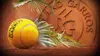 Roland-Garros : 40 ans d'exploits