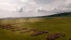Rome contre Carthage : Au temps des guerres puniques Au temps des guerres puniques