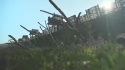 Rome : l'armée des bâtisseurs