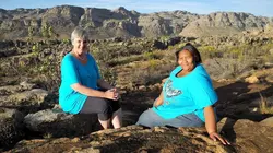 Rooibos, le thé rouge d'Afrique du Sud