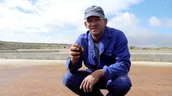 Rooibos, le thé rouge d'Afrique du Sud