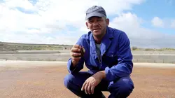 Rooibos, le thé rouge d'Afrique du Sud