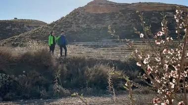 Désertification : extension du domaine de la lutte