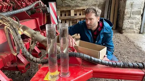 Roots De la Terre mère au sol vivant