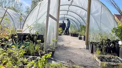 Roots Carbon farming : la culture du carbone