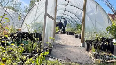 Carbon farming : la culture du carbone