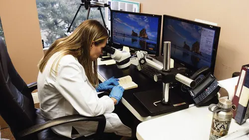 Roswell : le premier témoin S01E01 Le journal