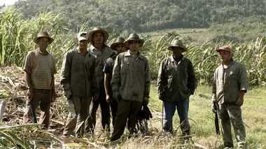 Rouges années