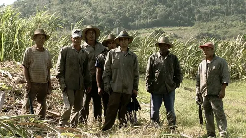 Rouges années