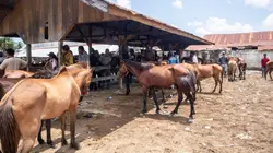 Roumanie : les marchés aux chevaux contestés",