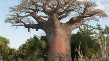 Routes mythiques Madagascar, à la recherche du monde perdu