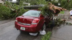Routes sous haute tension S01E01 Floride : dangers sous les palmiers