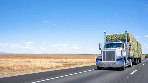 Routiers de l'Outback Frontière fermée