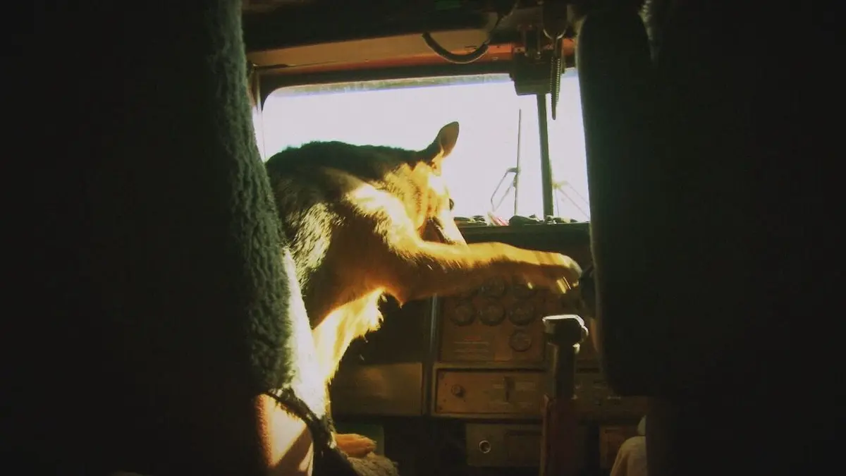 Routiers de l'Outback Un forage vital