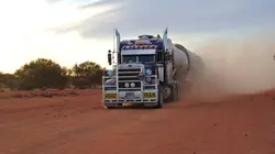 Routiers de l'Outback Kangourous = danger