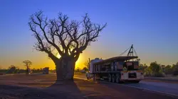 Routiers de l'Outback Terre natale