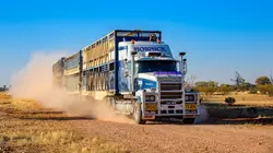 Routiers de l'Outback Traversée dangereuse